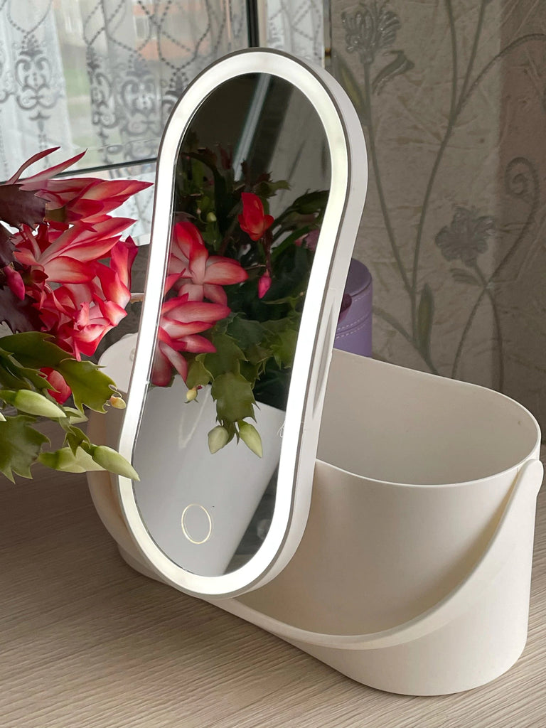 Portable Makeup Organizer with LED Mirror - Juste ELLE